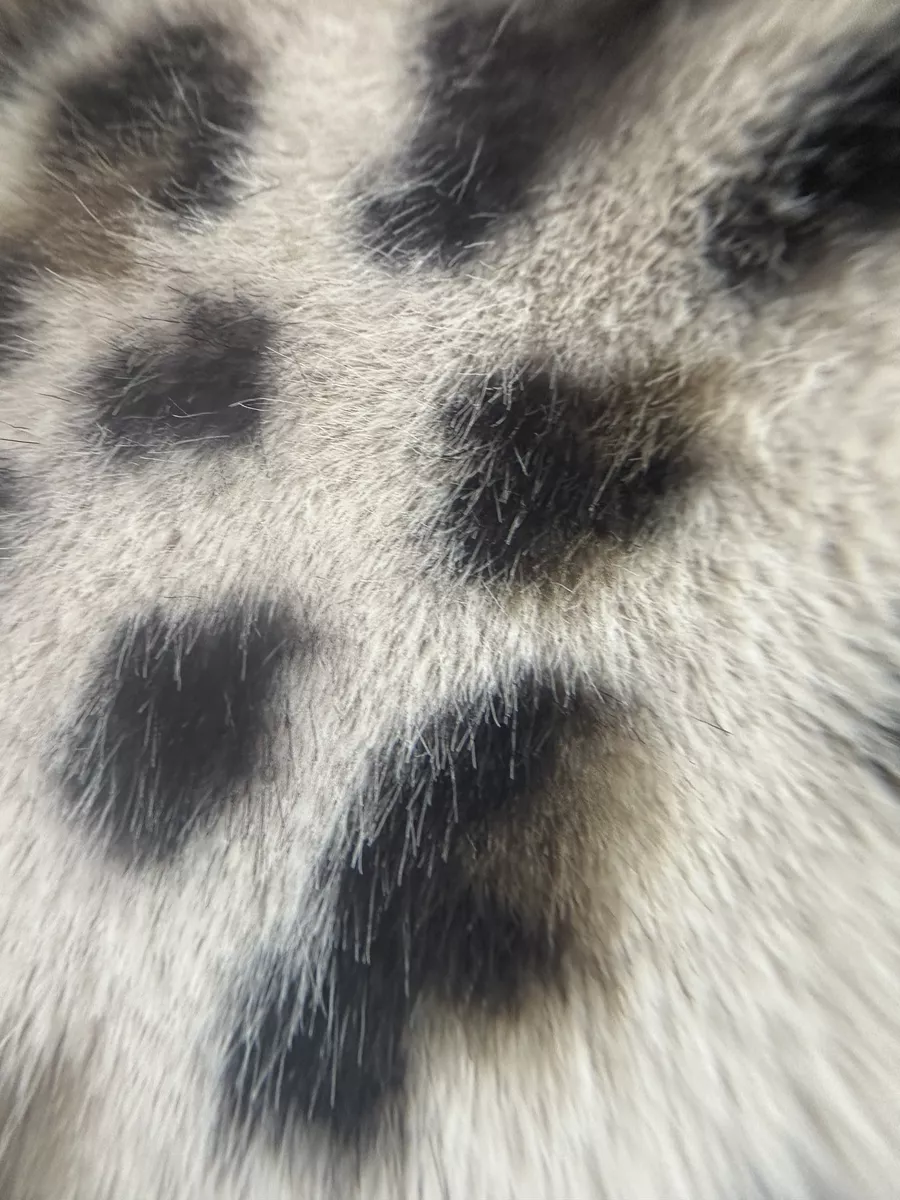 Шуба короткая из эко меха с капюшоном