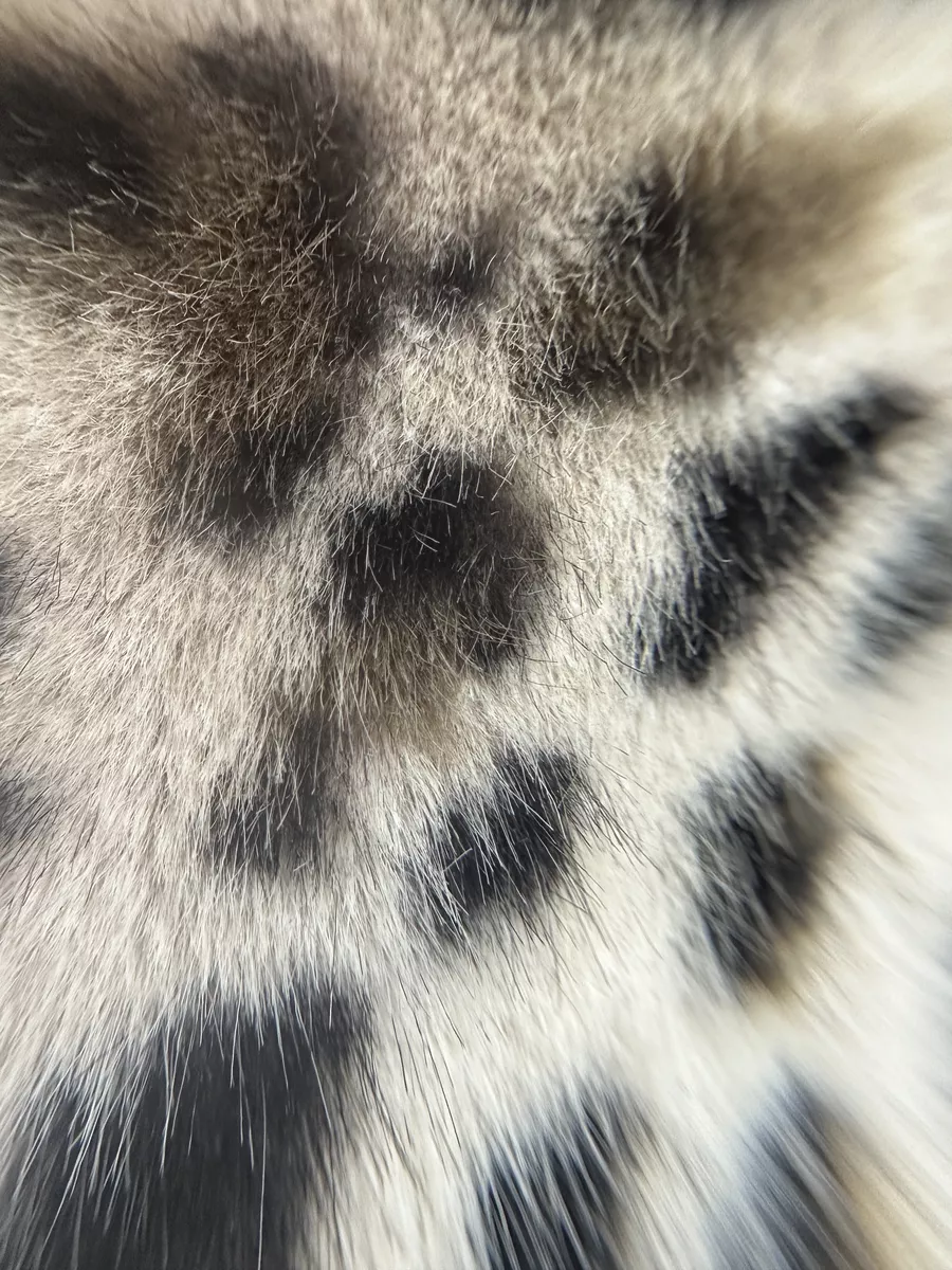 Шуба короткая из эко меха с капюшоном